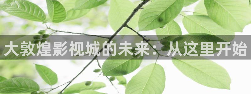 97视频免费看：大敦煌影视城的未来：从这里开始