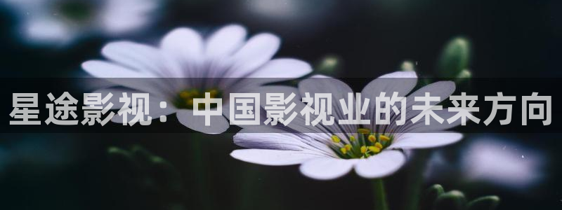 97影院天堂：星途影视：中国影视业的未来方向