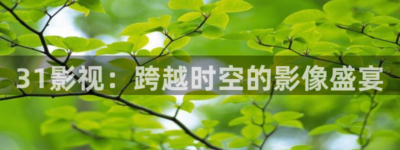 97在线观看视频一区：31影视：跨越时空的影像盛宴