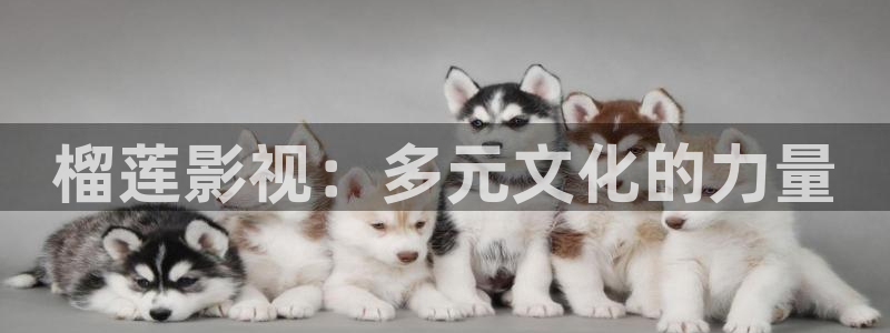 神马97理论电影院：榴莲影视：多元文化的力量