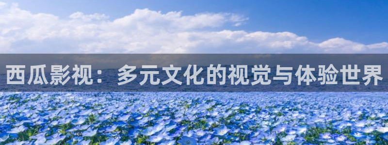 97免费看视频：西瓜影视：多元文化的视觉与体验世界