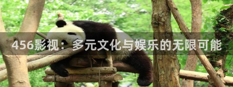 99视频在线观看97：456影视：多元文化与娱乐的无限可能